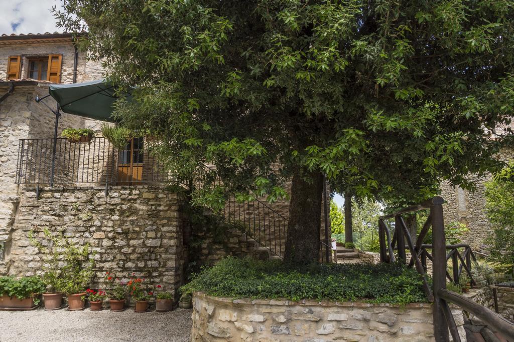 Agriturismo Monte Acuto Umbertide Habitación foto